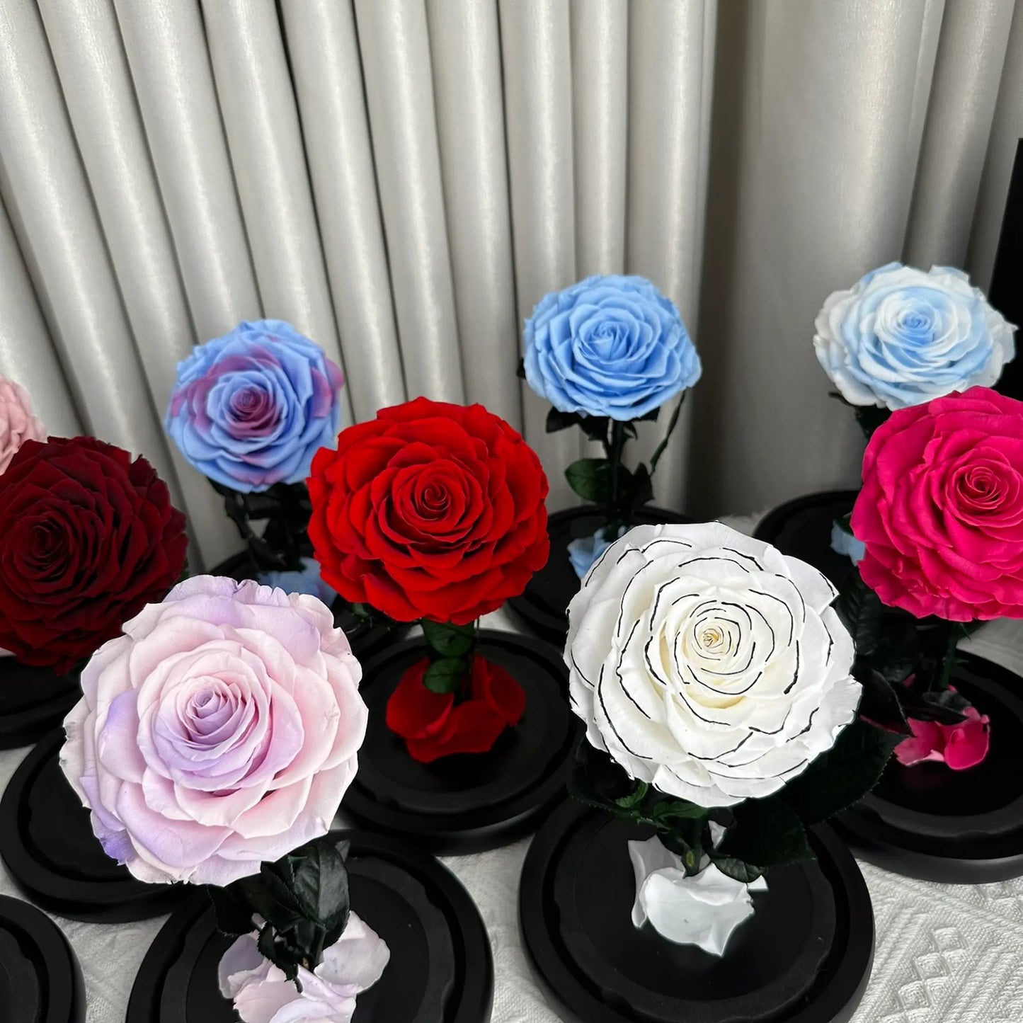 Assorted colored roses on black stands against a neutral curtain background