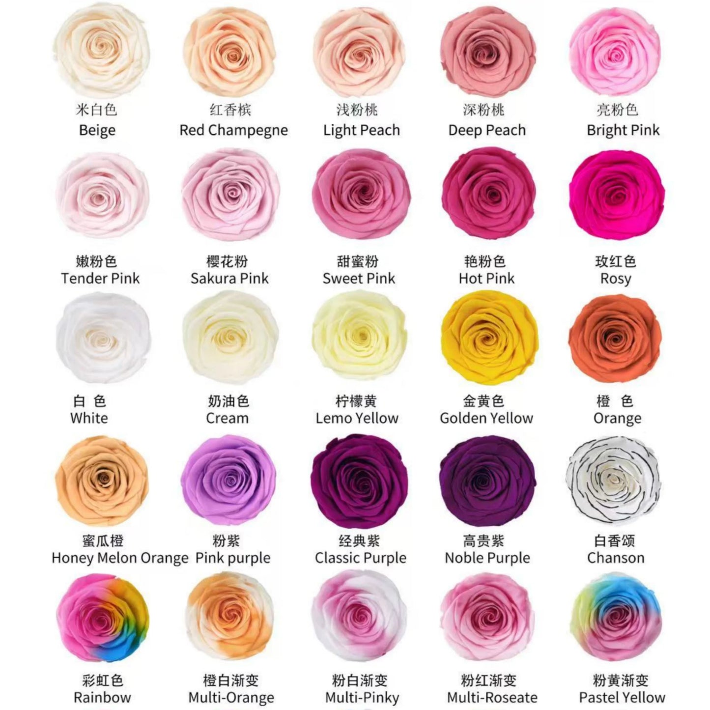 LULU ROSÉE preserved flower rose color selection chart, diverse solid, gradient, gold silver metallic rose shades available for custom personalized floral gifts 