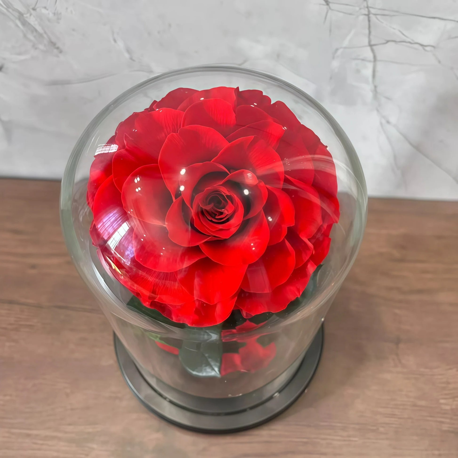 LULU ROSÉE Enchanted Red Rose Glass Dome, Large Preserved Forever Rose Inspired by Beauty and the Beast