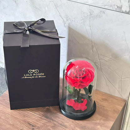 LULU ROSÉE Enchanted Rose Dome with Luxury Gift Box, Preserved Red Rose in Glass Dome