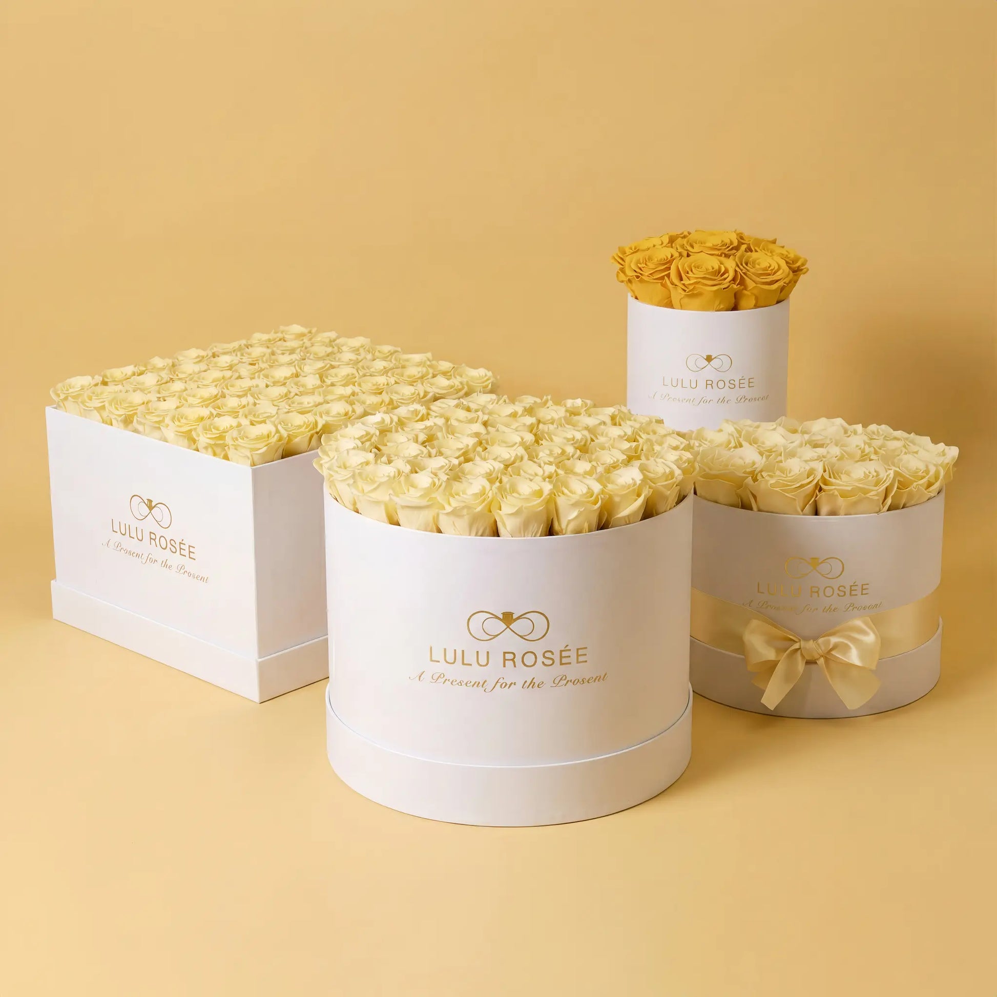Three white cylindrical boxes with yellow roses labeled 'Lulu Rosée' on a beige background.