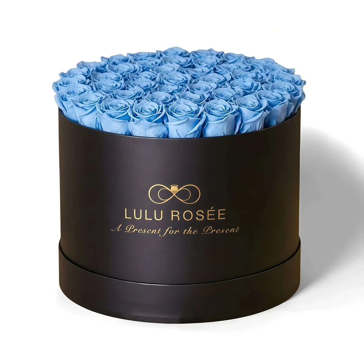 LULU ROSÉE extra large round box baby blue roses black classic box on white background