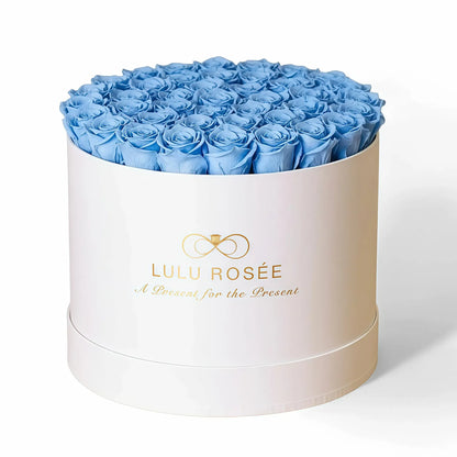 LULU ROSÉE extra large round box baby blue roses white classic box on white background