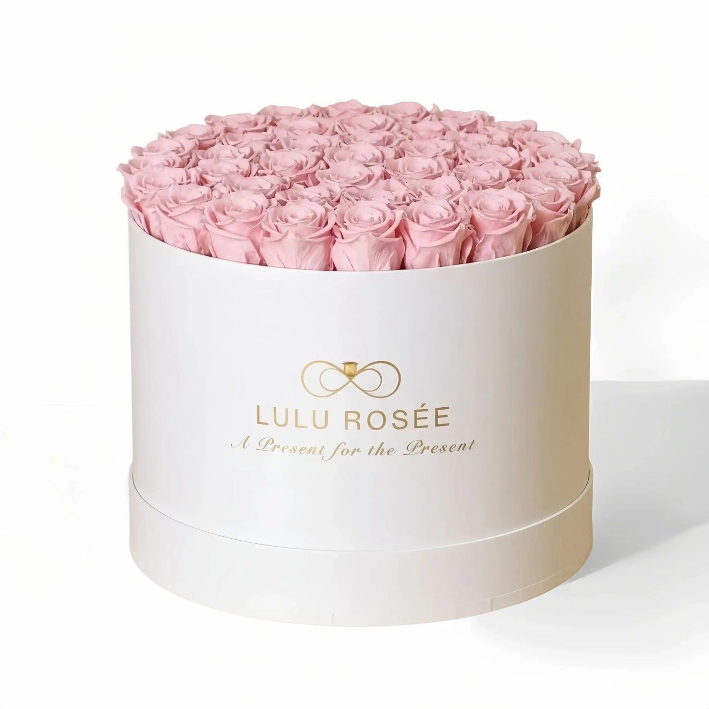 LULU ROSÉE extra large round box baby pink roses white classic box on white background