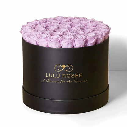 LULU ROSÉE extra large round box light purple roses black classic box on white background