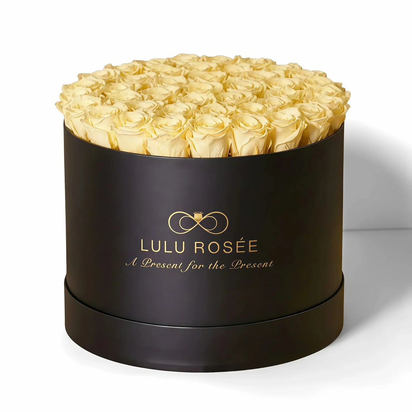 LULU ROSÉE extra large round box light yellow roses black classic box on white background
