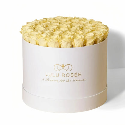 LULU ROSÉE extra large round box light yellow roses white classic box on white background