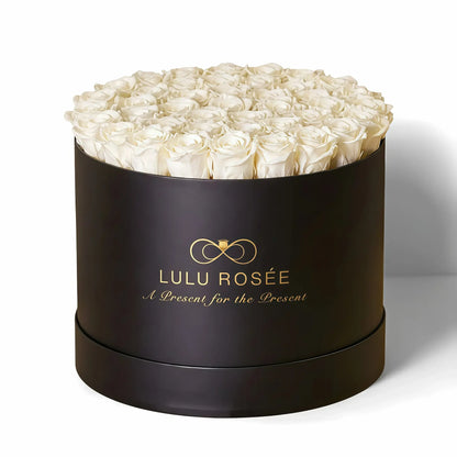 LULU ROSÉE extra large round box white roses black classic box on white background