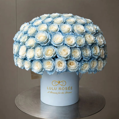 LULU ROSÉE Grande Superdome Ice Blue Gradient Preserved Rose Box, full dome of ice blue tipped everlasting roses in branded light blue cylinder flower box, luxury romantic floral gift