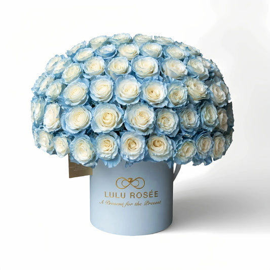 LULU ROSÉE Grande Superdome Ice Blue Gradient Preserved Rose Box isolated on plain white background, dome-shaped everlasting ice blue gradient rose gift box