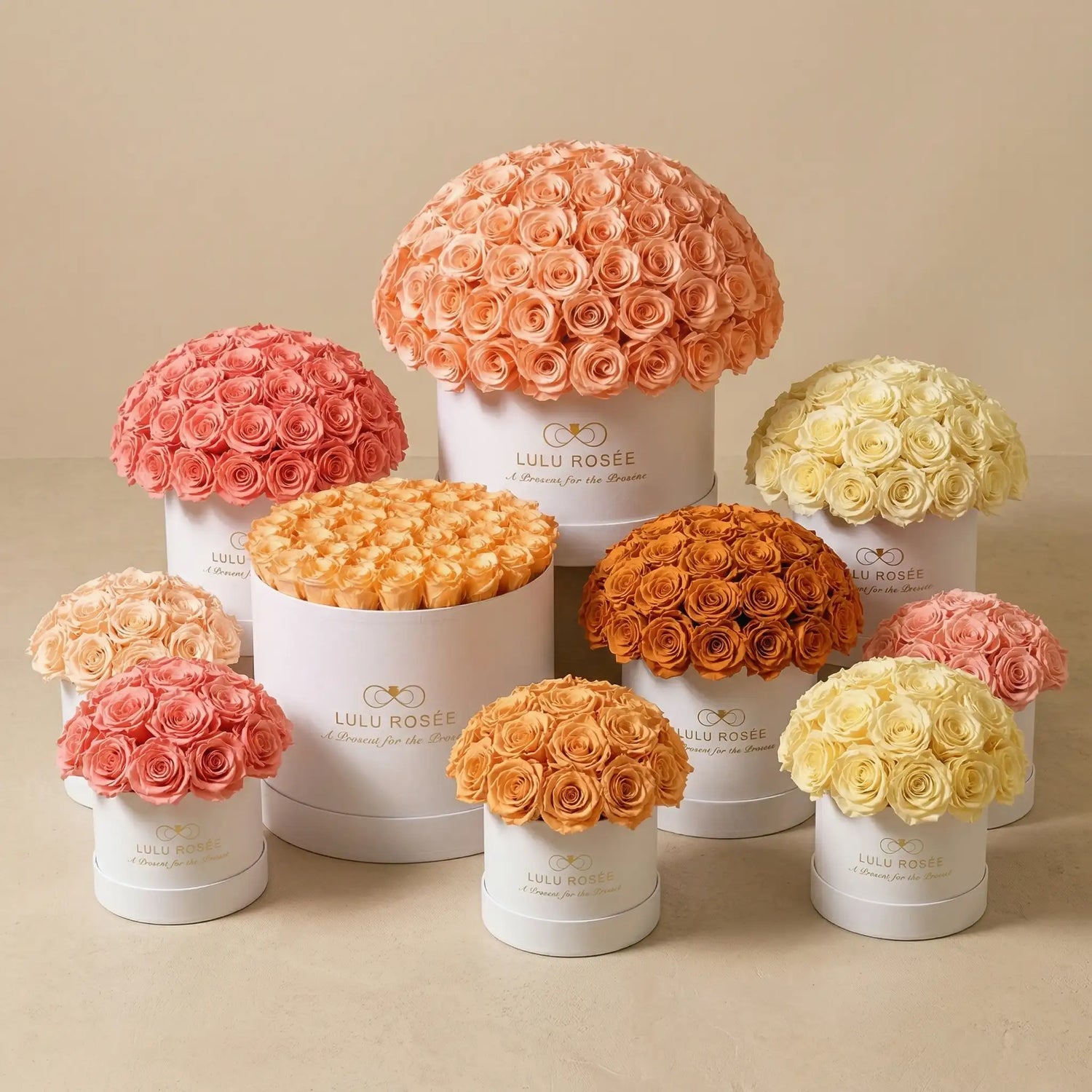 Assorted colored rose bouquets in white boxes on a beige background