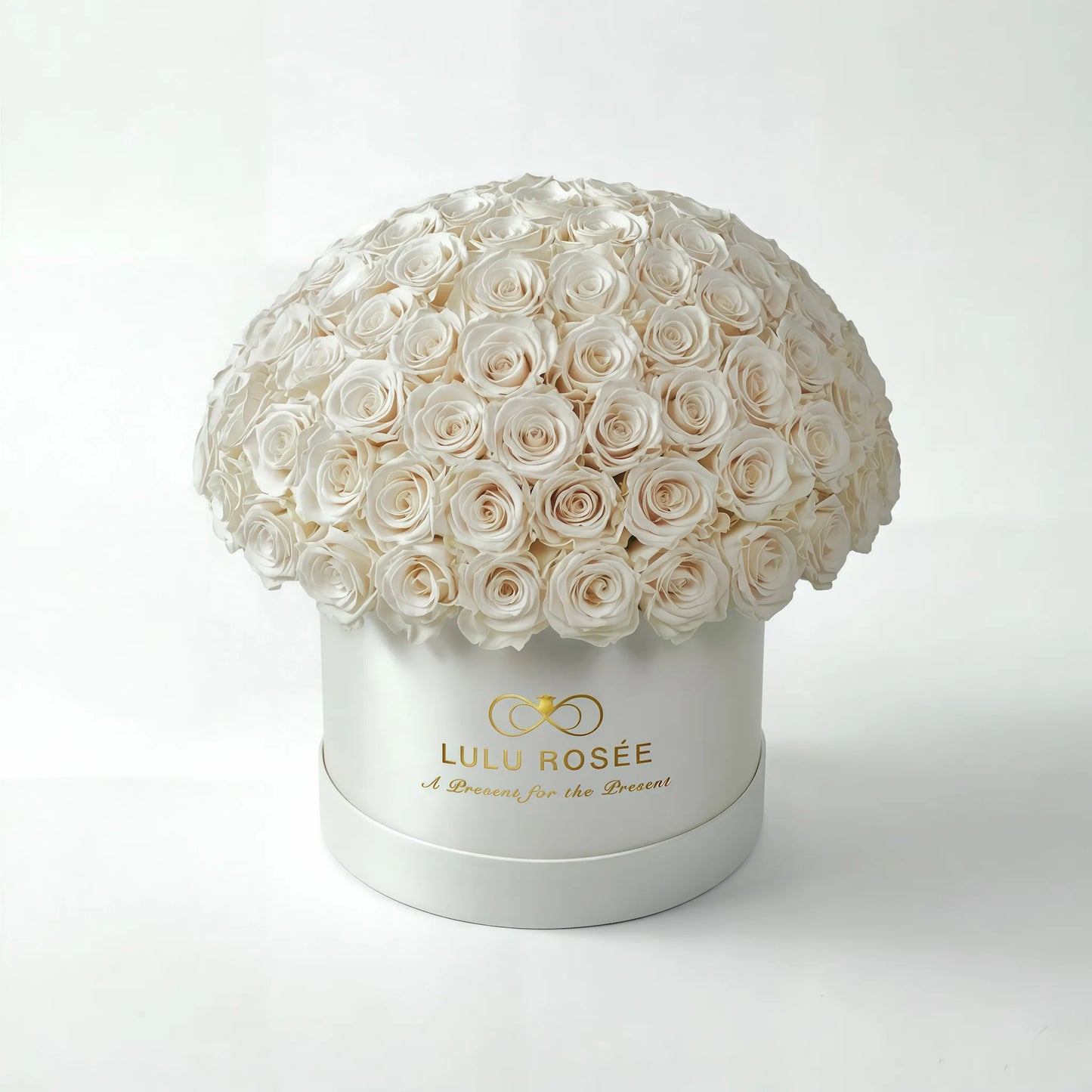 LULU ROSÉE large le plein pearl white roses white box on white background
