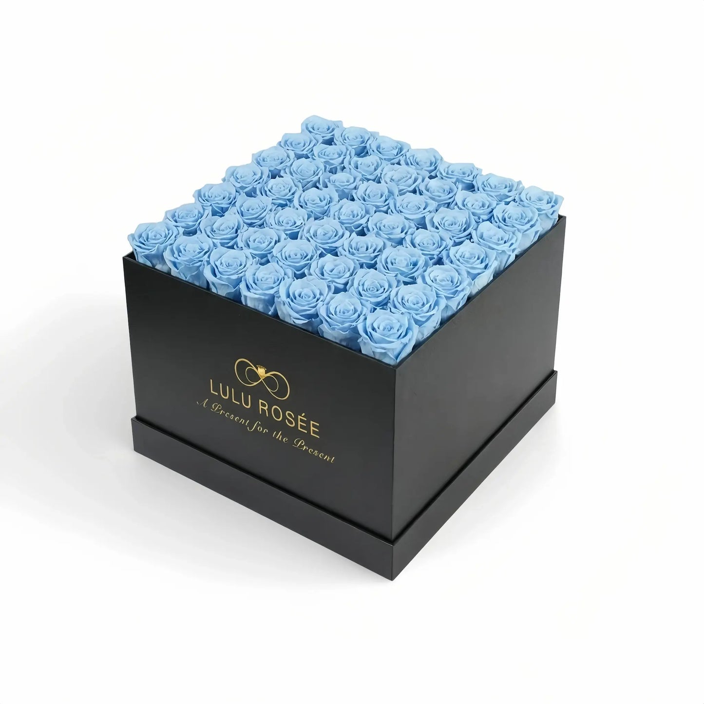 LULU ROSÉE large square box baby blue roses black classic box on white background