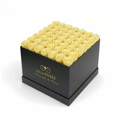 LULU ROSÉE large square box light yellow roses black classic box on white background