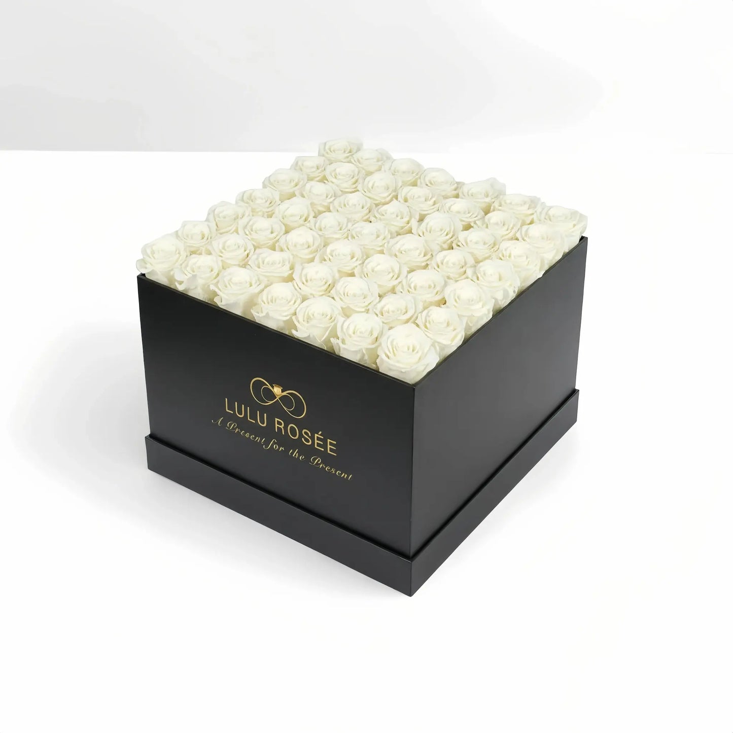 LULU ROSÉE large square box pearl white roses black classic box on white background