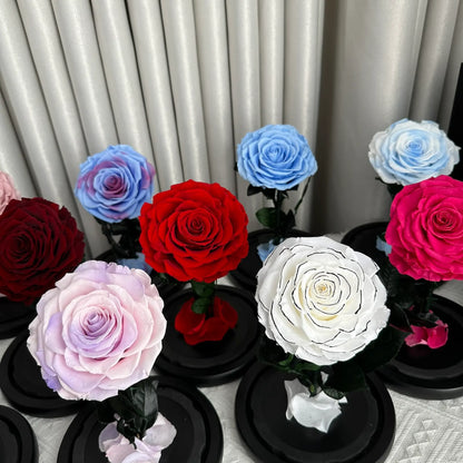 Assorted colored roses on black stands against a neutral curtain background