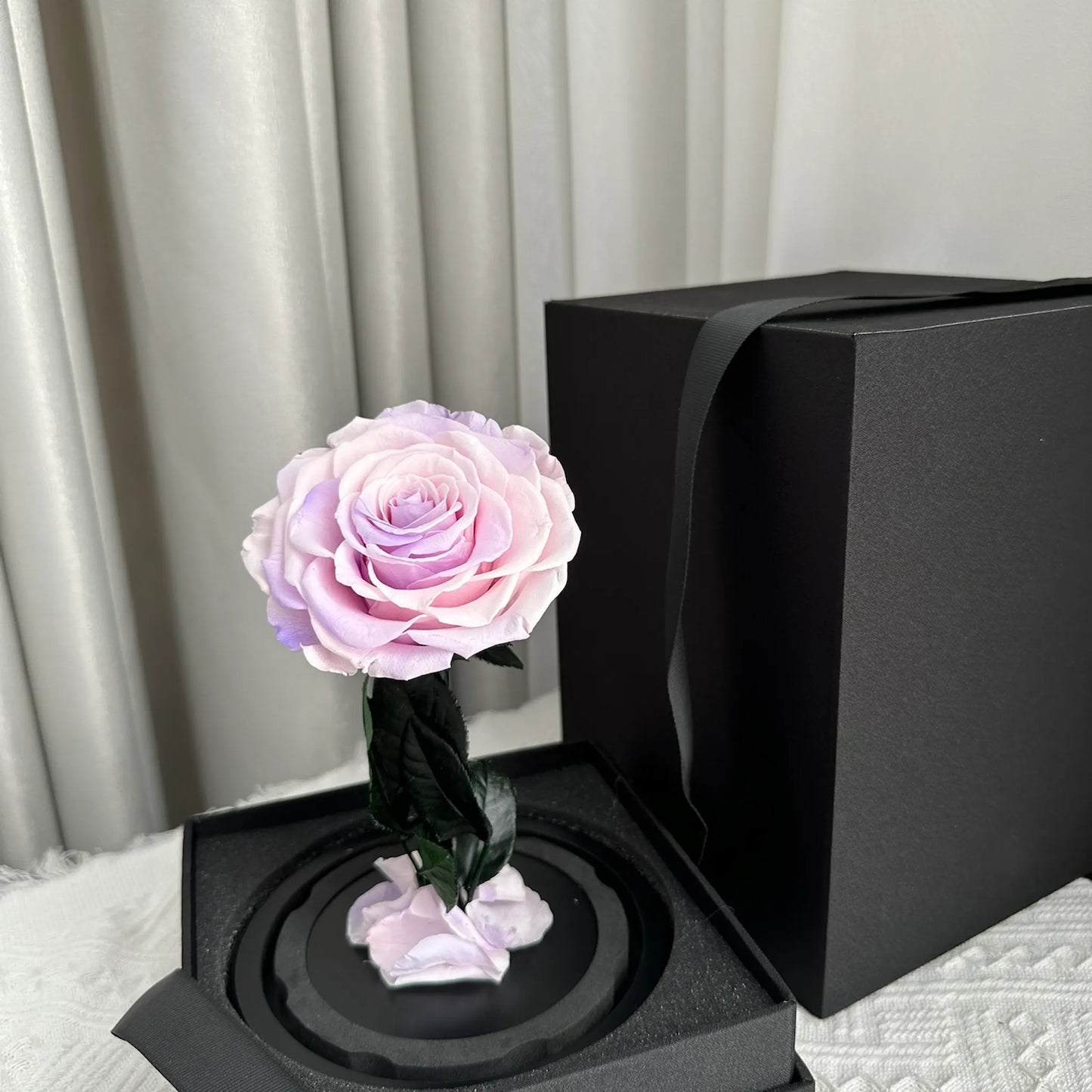 LULU ROSÉE little prince multi pinkish purple rose in a cozy living room