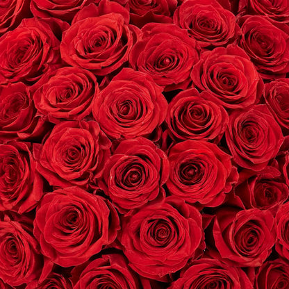 Moyenne Long Stem 12 Rose Bouquet