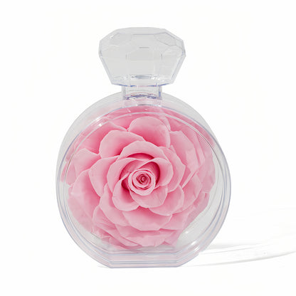 LULU ROSÉE single rose perfume bottle light pink rose on white background