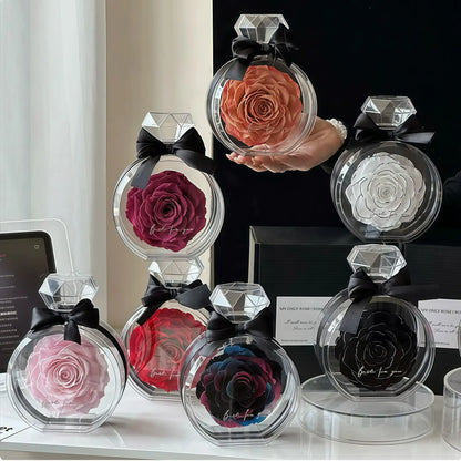 Collection of preserved roses in transparent diamond-shaped containers on a table.