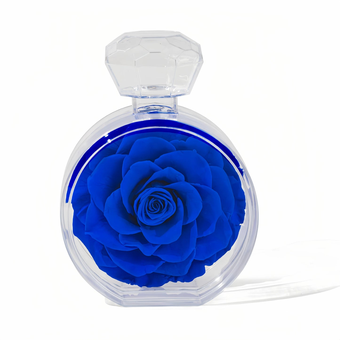 LULU ROSÉE single rose perfume bottle royal blue rose on white background