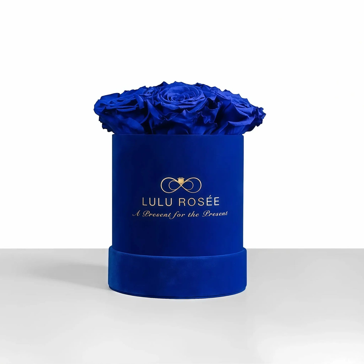 LULU ROSÉE small round box royal blue roses royal blue suede box on white background